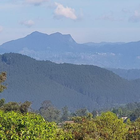 The Grand Bandarawela Hotell Eksteriør bilde