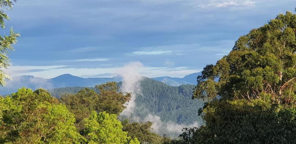 The Grand Bandarawela Hotell Eksteriør bilde