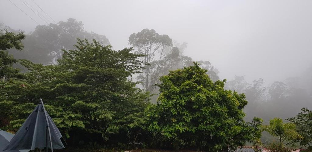 The Grand Bandarawela Hotell Eksteriør bilde