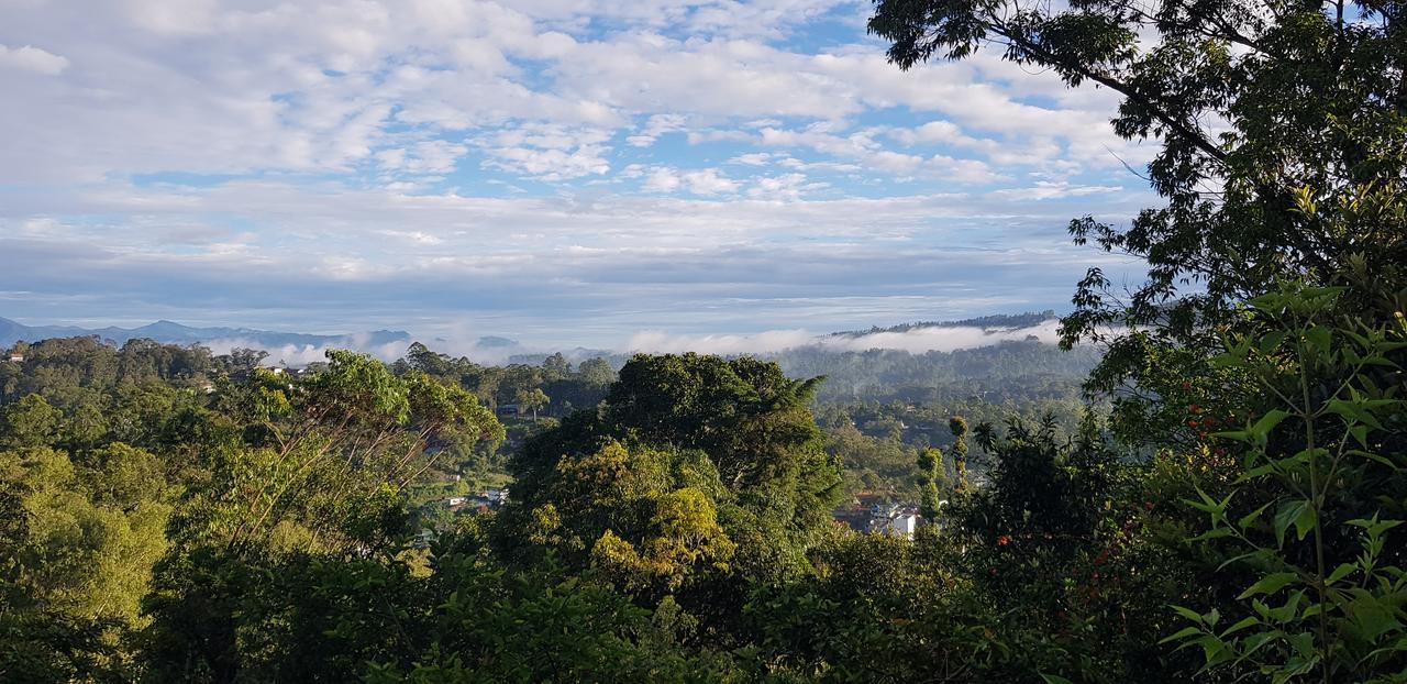 The Grand Bandarawela Hotell Eksteriør bilde